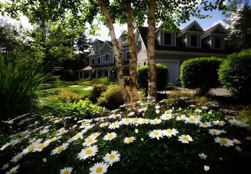 Enhancing Your Property’s Curb Appeal with Arborist Services in North East Melbourne